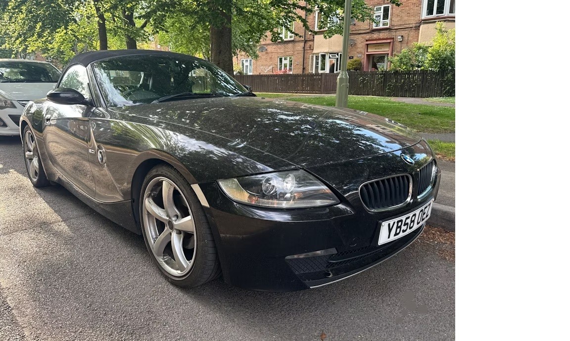 Z41