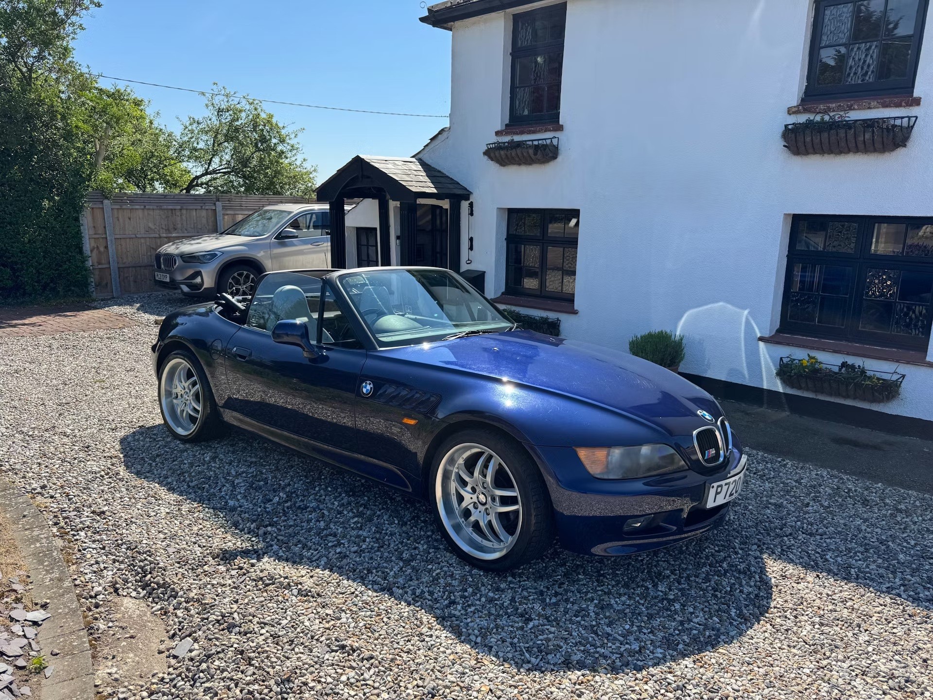 Z31